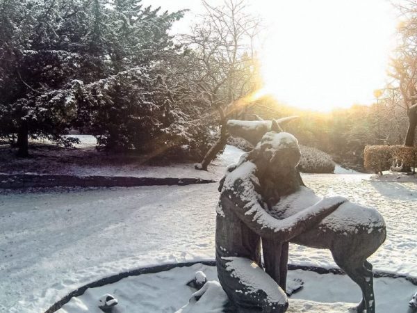 cosa vedere a Bergen in 4 giorni