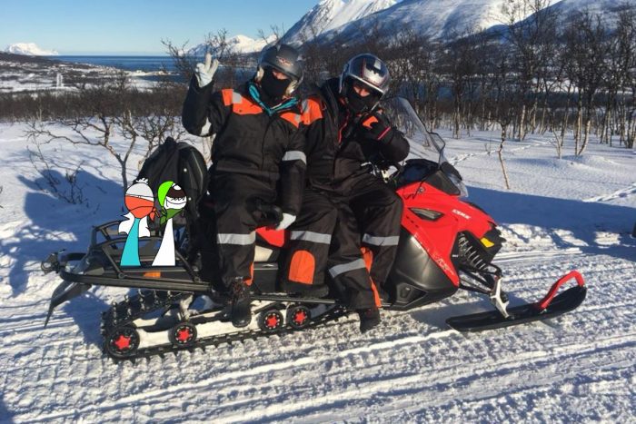 Norvegia low cost
