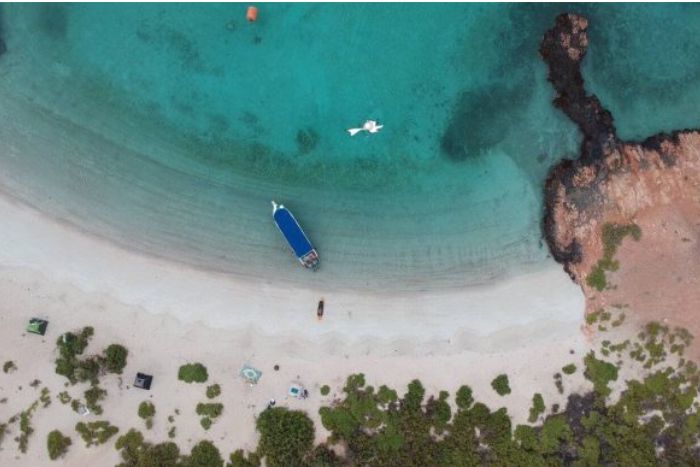 SNORKELING IN OMAN: LE ISOLE DAYMANIYAT