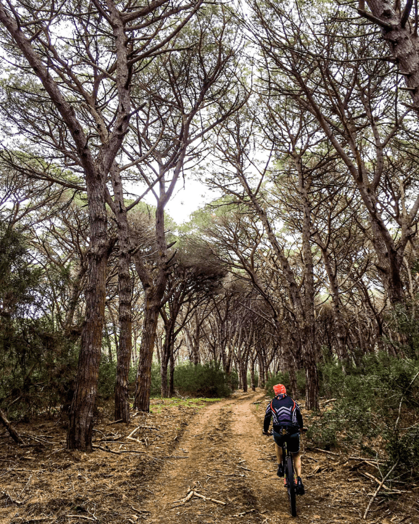 Maremma in bici: Tombolo della Feniglia
