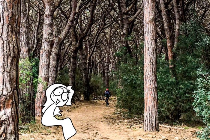Maremma in bici: Tombolo della Feniglia