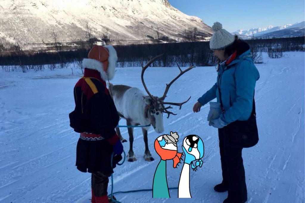 renna sami - itinerario-11-giorni-Norvegia-3