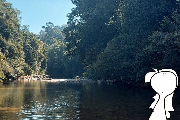 Taman Negara: info utili