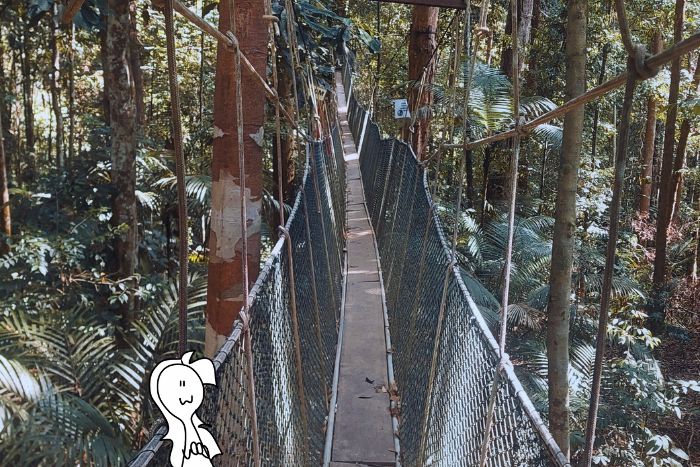 Taman Negara: info utili