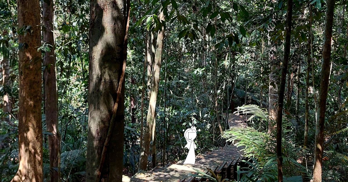 Taman Negara: info utili