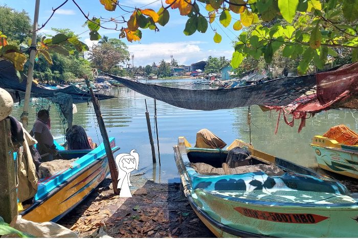 Come organizzare un viaggio in Sri Lanka fai da te