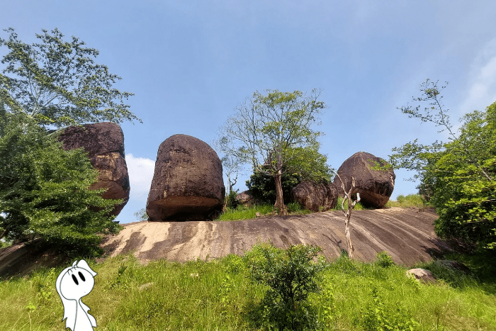 Sri Lanka: cosa visitare a Anuradhapura e dintorni
