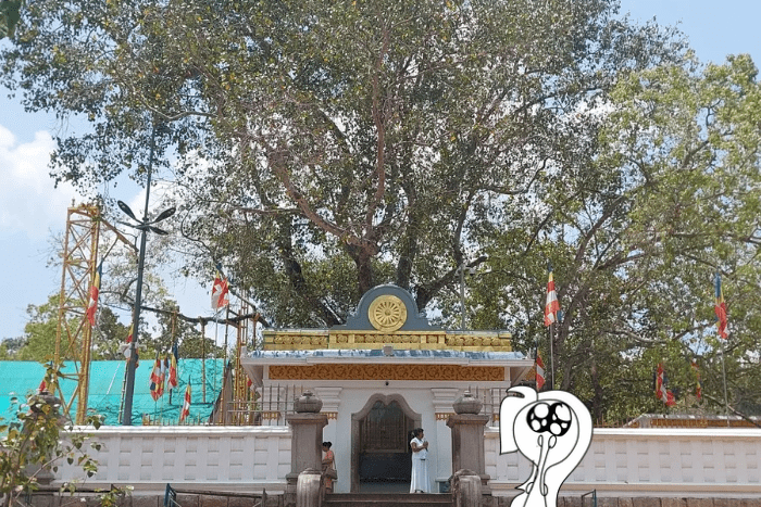 Sri Lanka: cosa visitare a Anuradhapura e dintorni
