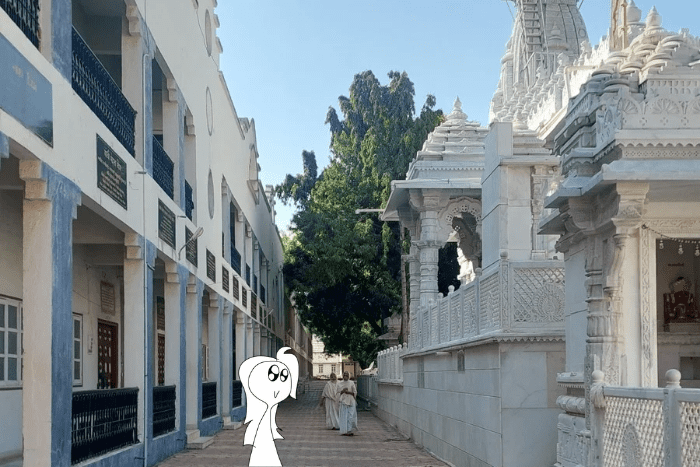 Palitana, India: cosa vedere nella citt&agrave; sacra dei templi Jain